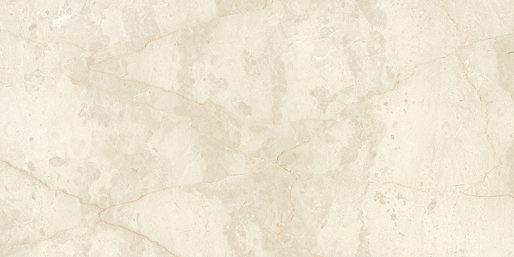 AC 6829 DK|300x600|Tiles