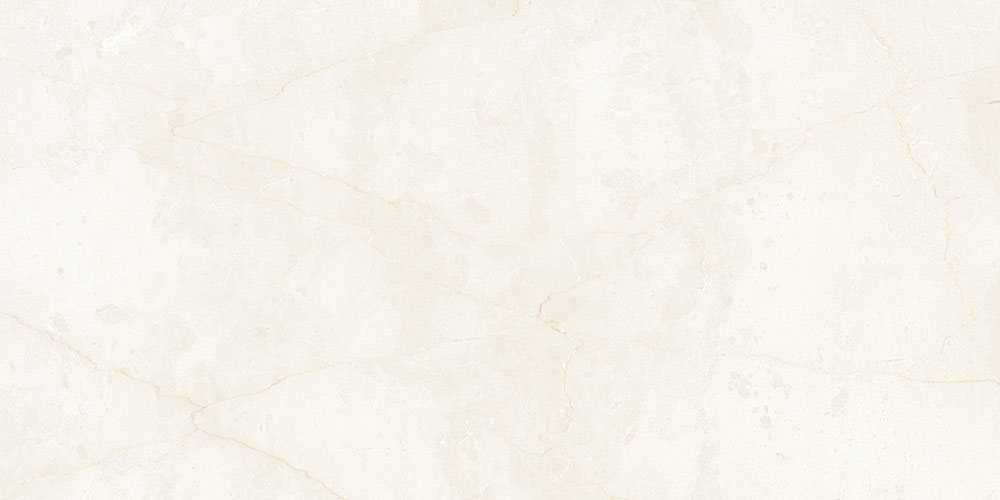 AC 6829 LT|300x600|Tiles