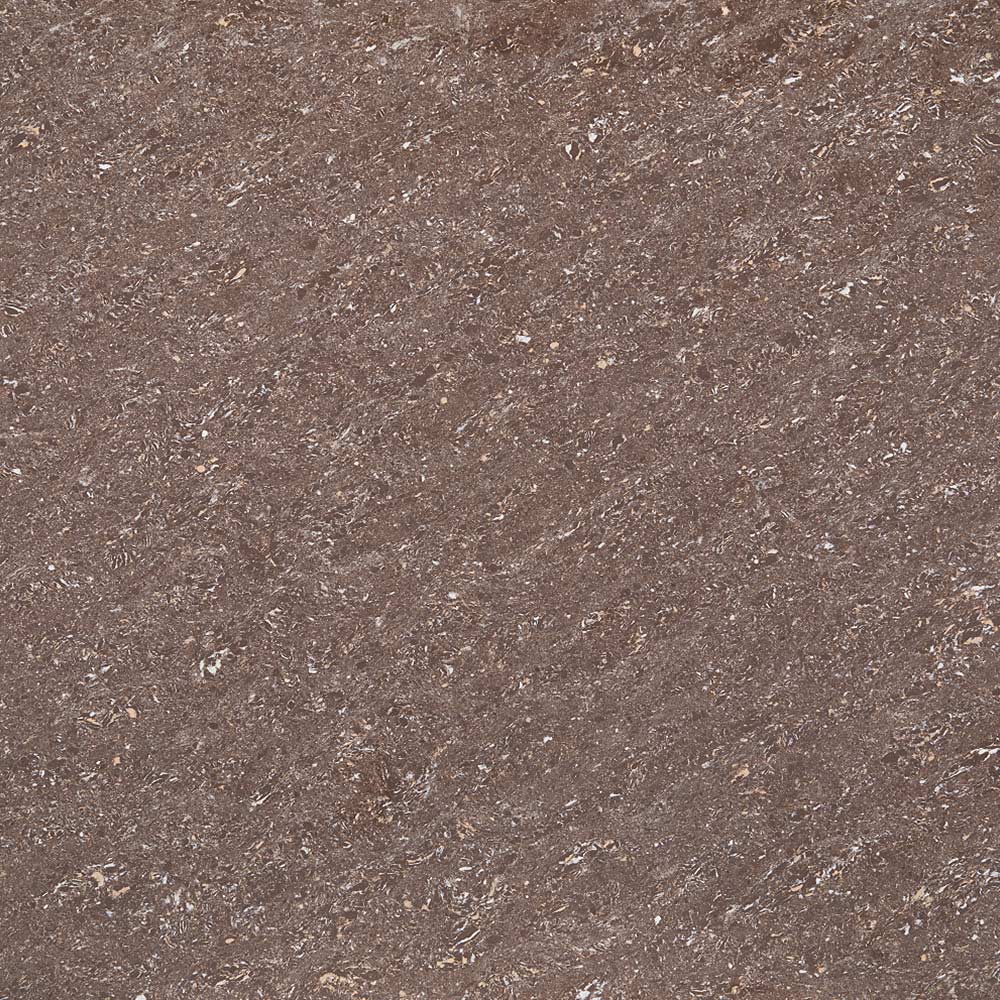 Atlas Choco|600x600|Double Charged Vitrified Tiles