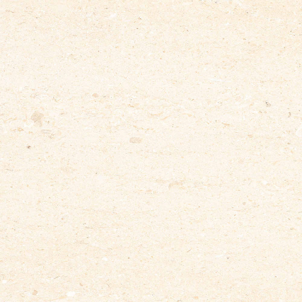 STONILI IVORY|600x600|Tiles