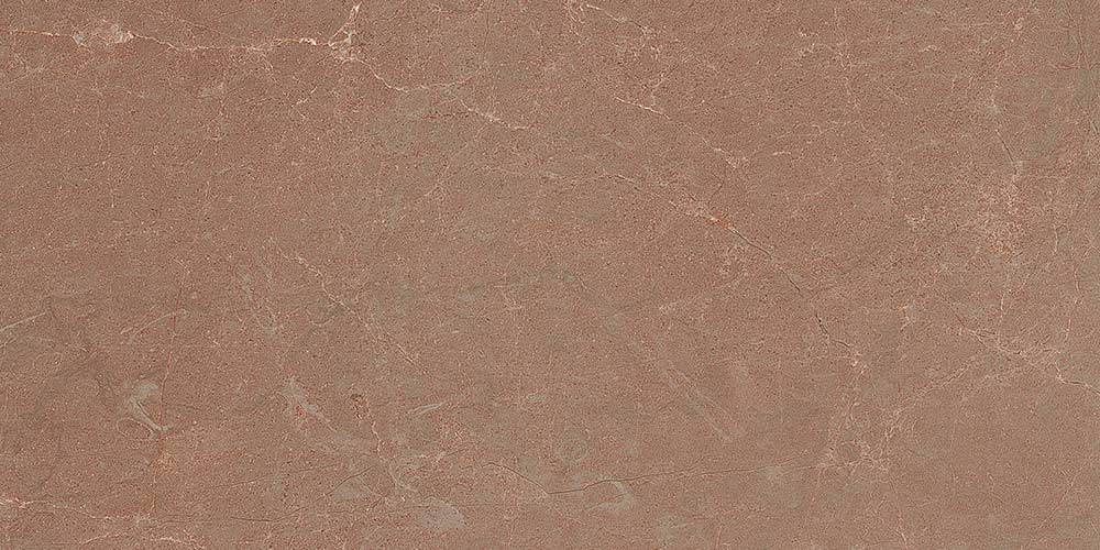 Windy Brown carving F1|600x1200|Modern Bathroom and Restroom Tiles