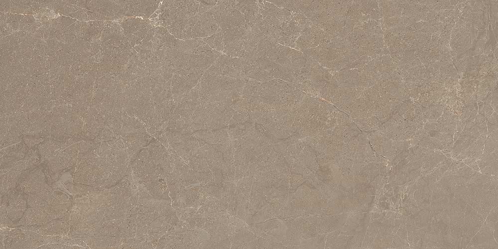 Windy Brown Polish F1|600x1200|Modern Bathroom and Restroom Tiles