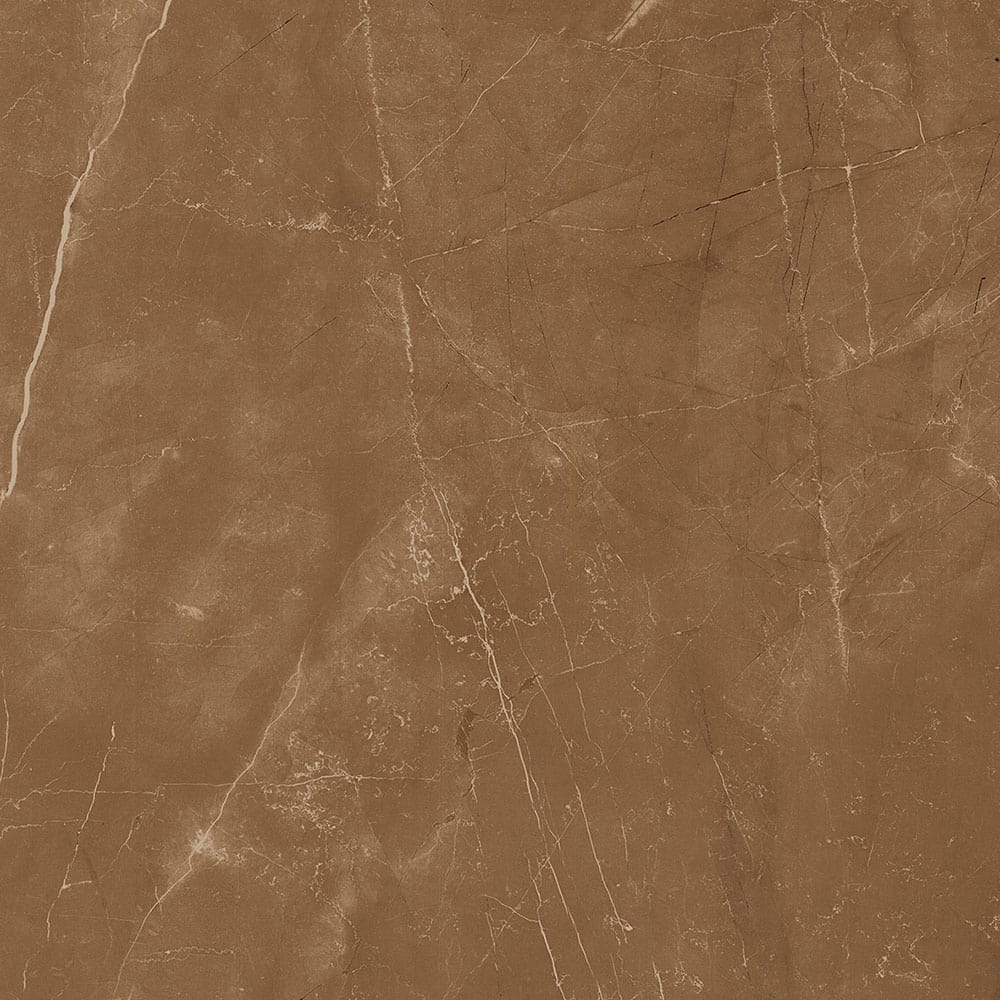 Claro Brown|600x600|Bathroom and Washroom Floor Tiles