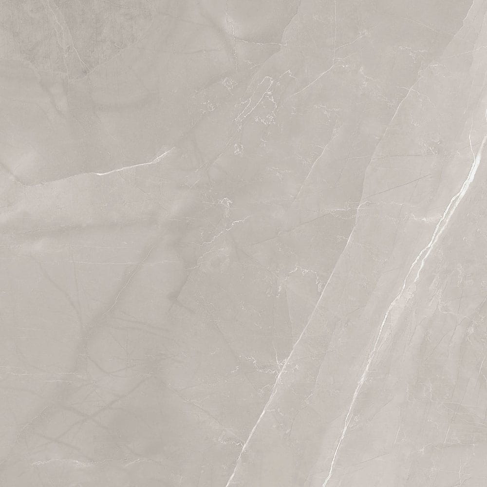 Claro Grey LT|600x600|Bathroom and Washroom Floor Tiles