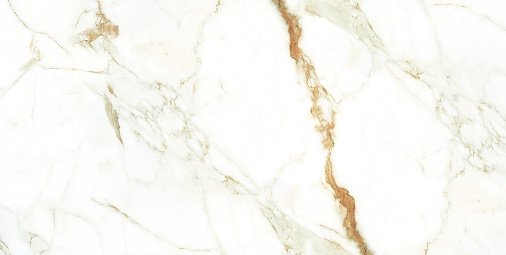 Calacutta Orro|600x1200|Tiles