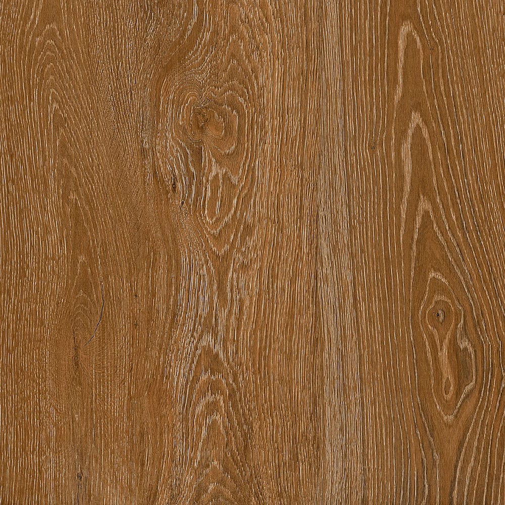 Janus Brown|600x600|Bathroom and Washroom Floor Tiles