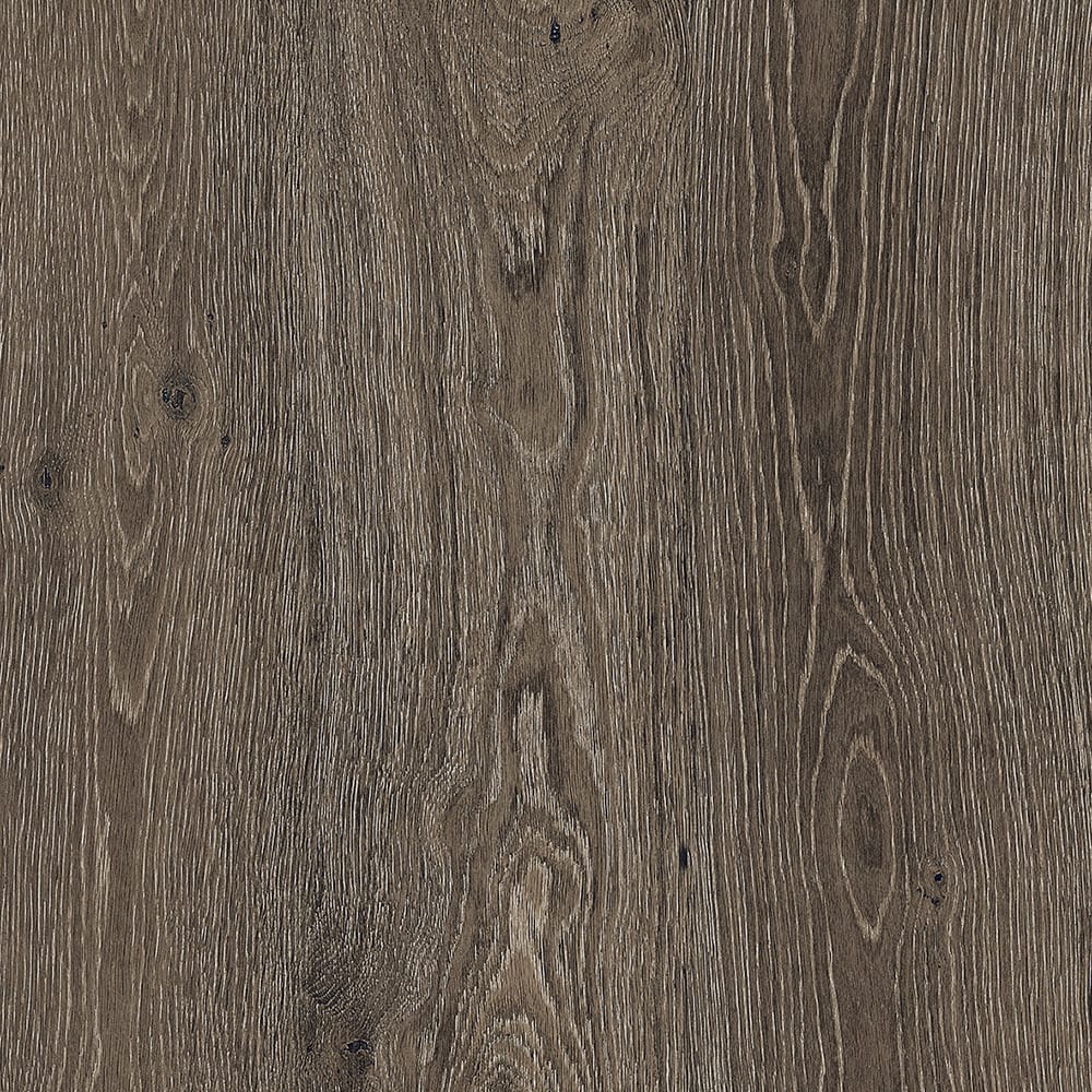 Janus Nero Soft|600x600|Bedroom Wall Tiles