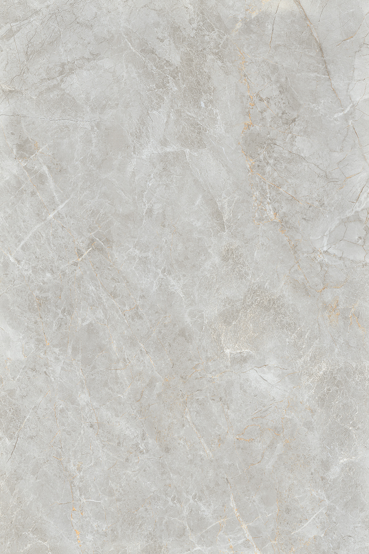 V-Amazon Grey|1200x1800|Tiles